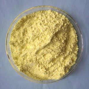 PastBatch ProtBatch Rug Past Rug Plays MBTS / DM -80