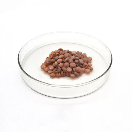 Ruble Antioxidant Rd